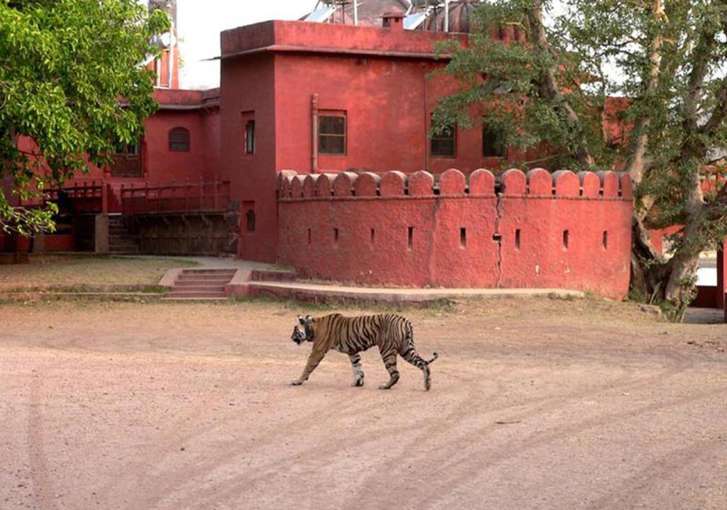 Green View Bed & Breakfast Sawai Madhopur Bagian luar foto